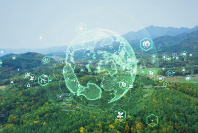 Sustainability Research Initiative Fellow